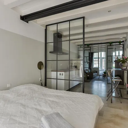 Loft With Light Garden Apartment