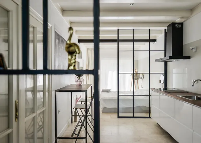 Loft With Light Garden Apartment Zandvoort